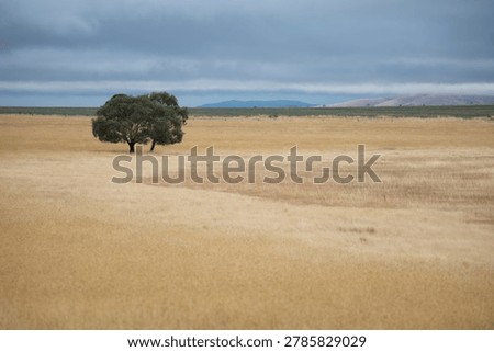 In the Middle of Nowhere