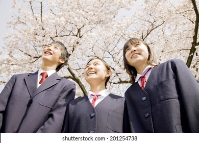 Middle School Boys And Girls Laughing Under Cherry Blossoms