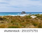 in the middle of the sea the rock at Langs Beach. January 20, 2024, New Zealand, Northland, Whangarei, Bream Bay, Langs Beach.