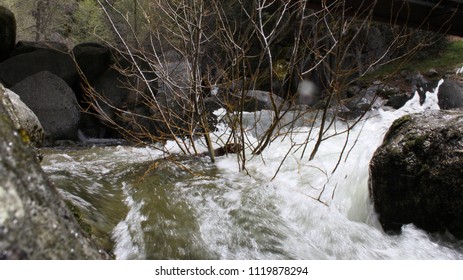 Middle of the Stream