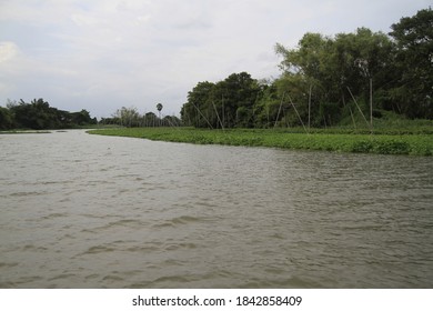 In The Middle Of The Tha Chin River