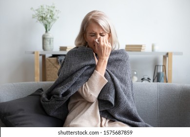 Middle-aged 50s sick frozen woman seated on sofa in living room covered with warm plaid sneezing holding paper napkin blow out runny nose feels unhealthy, seasonal cold, weakened immune system concept - Shutterstock ID 1575687859