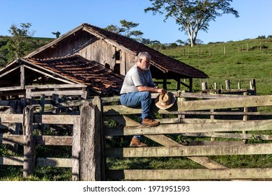 Middle-aged Farmer And Cattle Rancher Observes An Old Corral To Place The Animals