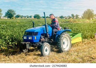 Middle-aged Farmer On A Tractor. Work On Agricultural Machinery On The Field. Harvest Potatoes. Farm And Small Business. Support And Subsidies. Concessional Lending And Loans.