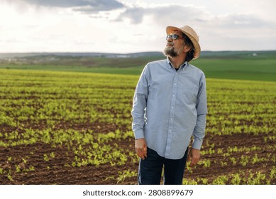 Middle-aged man with a beard and straw hat gazes upward in a lush green field, surrounded by young crops and a cloudy sky in the background