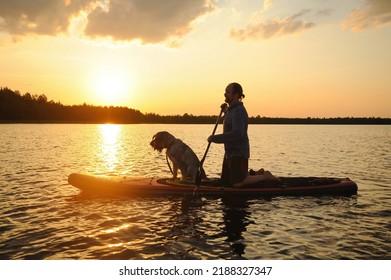 A middle-aged man with a dog paddles on the lake water on a SUP board at sunset. - Powered by Shutterstock