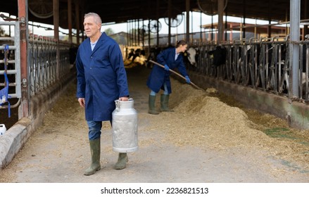 Middle-aged man farmer carrying milk can while walking through cowhouse.