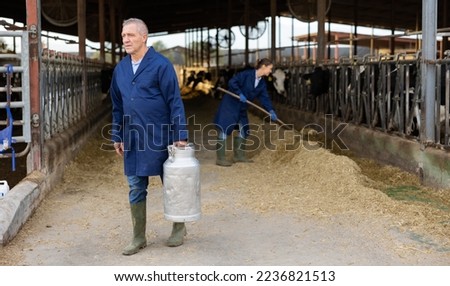 Middle-aged man farmer carrying milk can while walking through cowhouse.