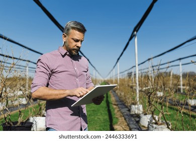 A middle-aged man is focused on his tablet amidst rows of plants in a sunny, high-tech blueberry farm with young plants - Powered by Shutterstock