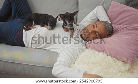 Middle-aged man lying on a sofa with two chihuahuas on his chest in a cozy living room setting.