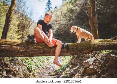 A middle-aged man sitting on the fallen tree log over the mountain forest stream with beagle dog while he waiting for laundry drying and trekking boots. Traveling with pets concept image. - Powered by Shutterstock