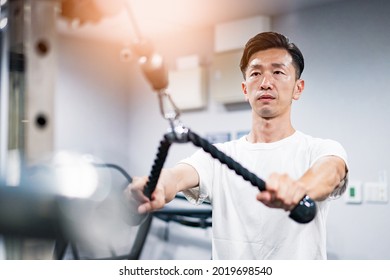 Middle-aged Man Training In The Gym