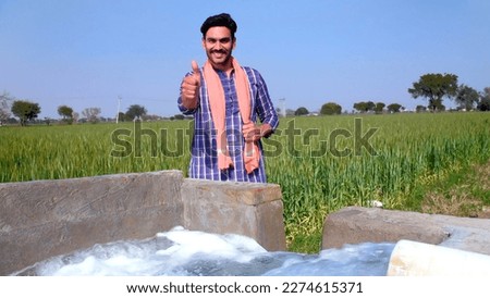 A middle-aged villager in casual clothes with an Angocha doing a thumbs-up gesture - posing. Portrait of a cheerful bearded farmer standing in his rice mustard field - Indian agriculture
