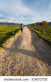 A Middle-aged, White Caucasian Woman Walks Down A Dirt Country Road During The Late Afternoon Sun Going Down. Taken In The Bay Of Plenty Region, New Zealand.