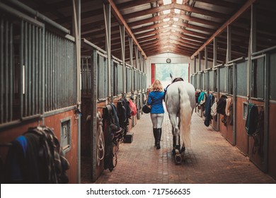 Middle-aged woman with her horse in a stall