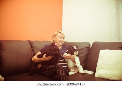 Middle-aged Woman Playing With Dogs In The Living Room At Home