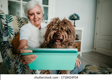 Middle-aged woman with white hair making a video call with her tablet accompanied by her loving dog. Social distancing due to covid19. Stay Home