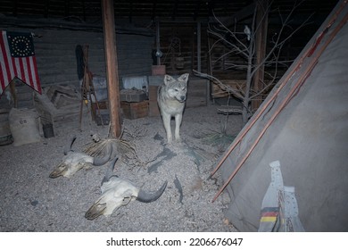 Midland, South Dakota, USA-  July 2 2022: 1880 Town History Museum. Wolf In Native American Reservation 