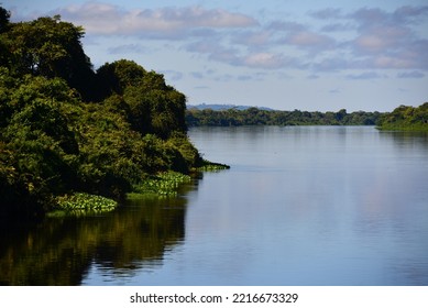 Mid-morning On The Rainforest-lined Guaporé-Itenez River, Near The Remote Village Of Remanso, Beni Department, Bolivia, On The Border With Rondonia State, Brazil