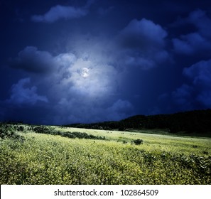midnight on the meadow,  natural backgrounds