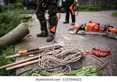 Midsection of arborist men with chainsaw and ropes cutting a tree. - Powered by Shutterstock