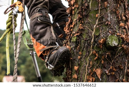 Similar – Arborist with tools in the wind