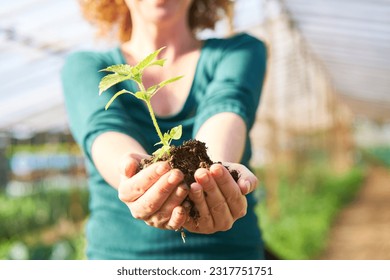 Midsection of mature female farmer holding sapling of mint in hand at farm - Powered by Shutterstock