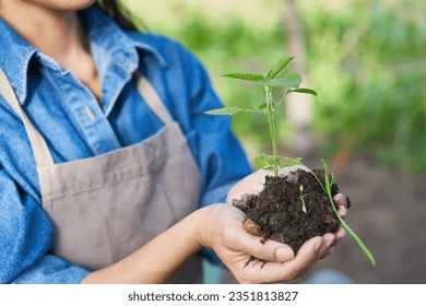 Midsection of mature female farmer holding sapling in cupped hands at farm - Powered by Shutterstock