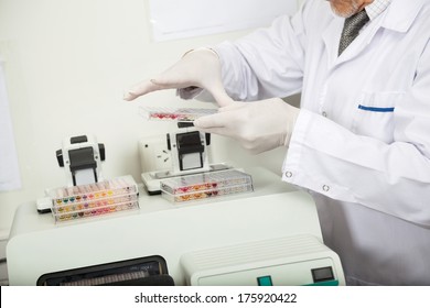 Midsection of mature male scientist examining microplate in laboratory