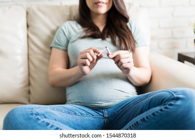 Midsection of mid adult pregnant woman breaking a cigarette while sitting on sofa at home