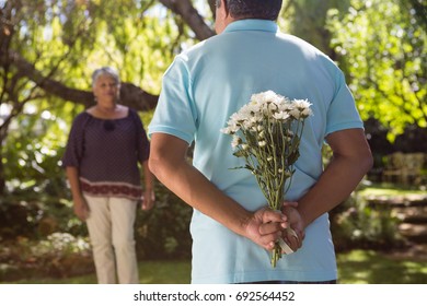 Mid-section of senior man hiding flowers behind back in garden - Powered by Shutterstock