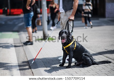 Similar – Image, Stock Photo Man with dog Town