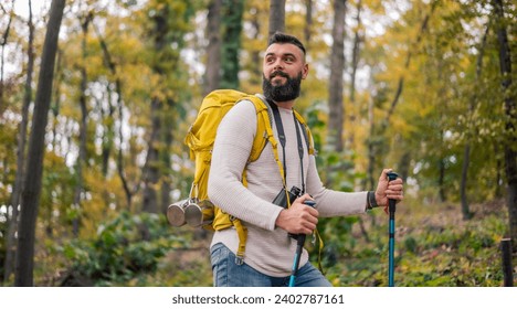 In the midst of an autumn hike, a bearded man, a hiker with a backpack and hiking poles, explores the woodland landscape.