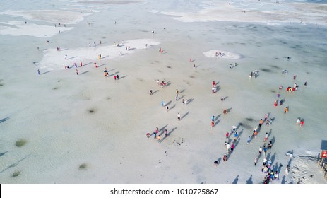 Mid-summer Aerial Card Tea Lakers Crowd