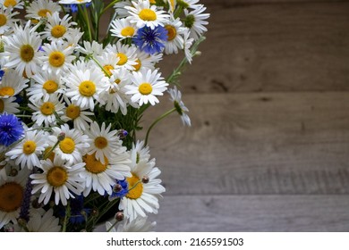 Daisy Flowers Free Stock Photo | picjumbo