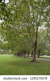 Midsummer Common In Cambridge, England