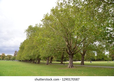 Midsummer Common In Cambridge, England