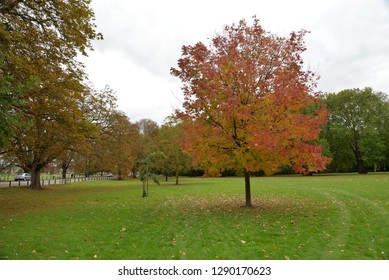 Midsummer Common In Cambridge, England