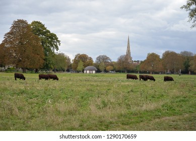 Midsummer Common In Cambridge, England