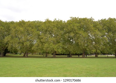 Midsummer Common In Cambridge, England