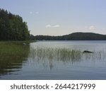 Midsummer evening on a tranquil Finnish lake in Anttola, Mikkeli, with calm waters, lush green shores, and distant forests under a soft blue sky.