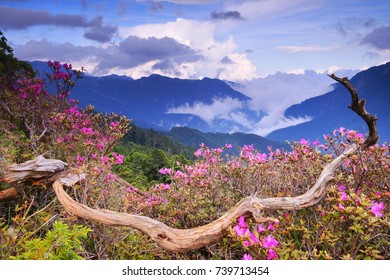 288 Hehuan north peak trail Images, Stock Photos & Vectors | Shutterstock