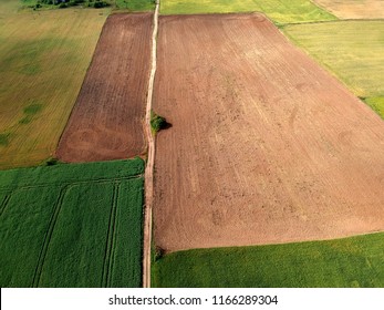 Midsummer time agriculture fields, aerial view from drone
