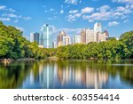 Midtown Atlanta skyline from the park in USA