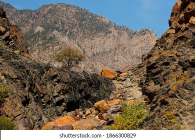 Midway, Utah USA - December 2, 2020: The steep canyons and hills of the Wasatch Mountain Range in Utah offer visitors spectacular natural scenery and colorful displays of aspens and fall foliage. 