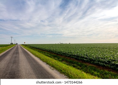 250 Ohio corn field Images, Stock Photos & Vectors | Shutterstock