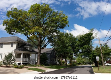 Midwest Neighborhood Street with Old Homes and Green Trees during the Summer in Lemont Illinois