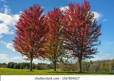 Midwest October Fall In The Green Bay Suburb Of Hobart On The Oneida Reservation