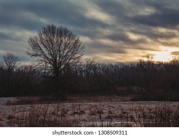 Midwest Winter Landscape