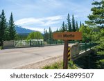 Miette River in Jasper National Park. Alberta, Canada. Canadian Rockies summer landscape.